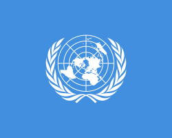 UN CONSEJO DE SEGURIDAD DEPLORABLE: La causa de la reforma de la ONU