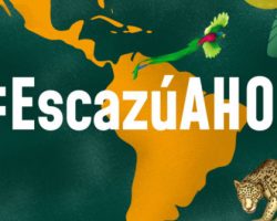 Acuerdo de Escazú