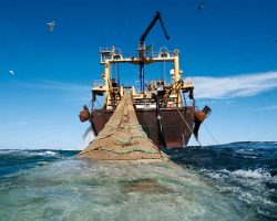 PESCA ILEGAL Y AMENAZA A LA SOBERANÍA: Reflexiones sobre la Nación y el interés nacional.