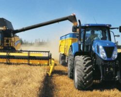 Balanza Comercial y oportunidades del agro argentino en el mercado asiático
